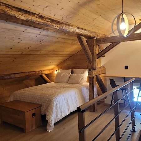 Chalet Lisa B&B 莫尔济讷 外观 照片