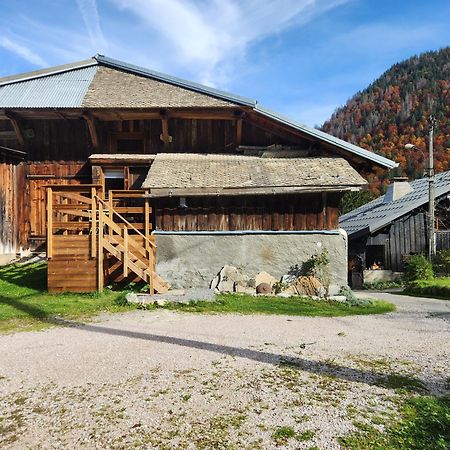 Chalet Lisa B&B 莫尔济讷 外观 照片