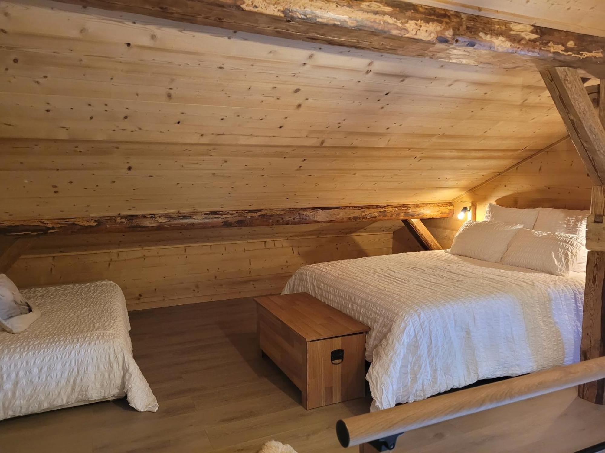 Chalet Lisa B&B 莫尔济讷 外观 照片