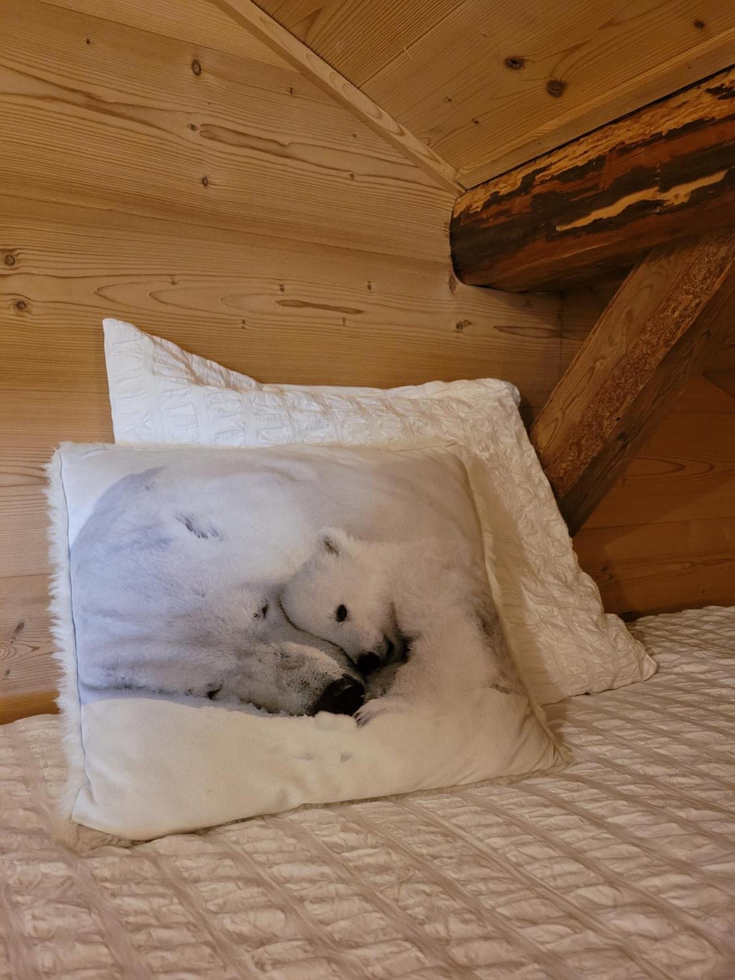 Chalet Lisa B&B 莫尔济讷 外观 照片